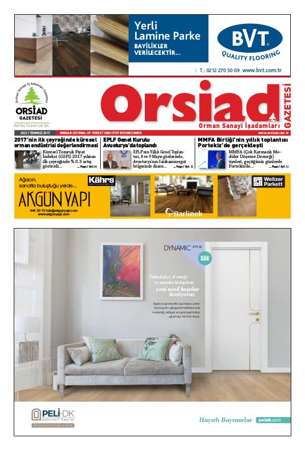 Orsiad Gazetesi Sayı 61 - Temmuz 2017