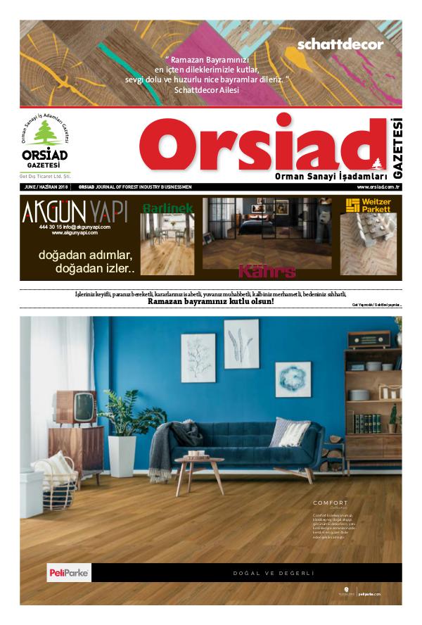 Orsiad Gazetesi Sayı 72 - Haziran 2018