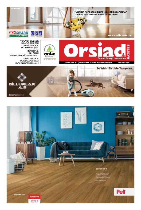 Orsiad Gazetesi Sayı 76 - Ekim 2018