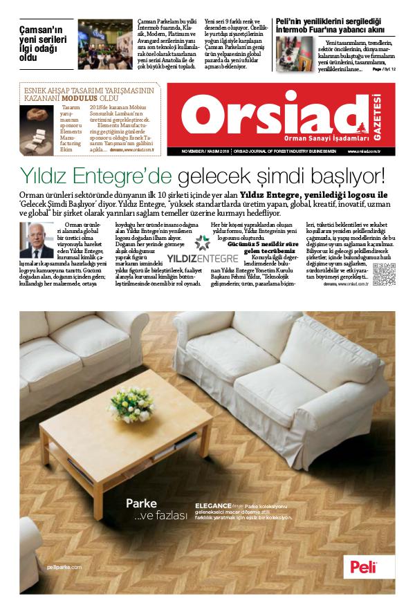 Orsiad Gazetesi Sayı 77 - Kasım 2018