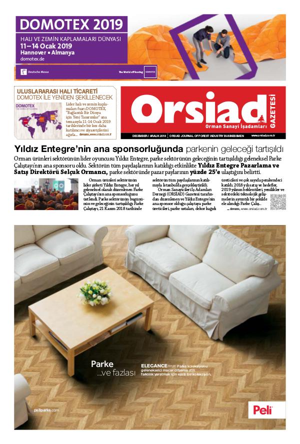Orsiad Gazetesi Sayı 78 - Aralık 2018