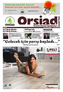Orsiad Gazetesi
