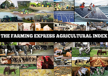 The Farming Express Agricultural Index