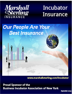 Business Incubator Insurance Vol 1 (2013, September)