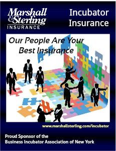 Business Incubator Insurance Vol 1 (2013, August)