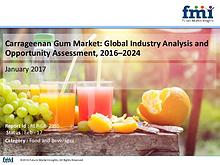 Global Carrageenan Gum Market to Soar at Moderate CAGR of 4.3%, 2024
