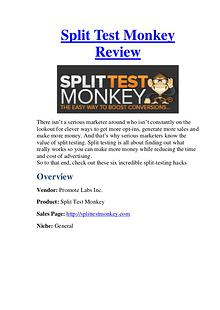 Split Test Monkey Review - Low Cost & Huge Bonus