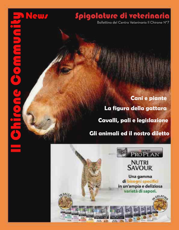 Il Chirone Community News Bollettino 7