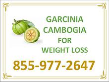 Garcinia cambogia lose weight | GarciniaCambogiaOnlineStore 