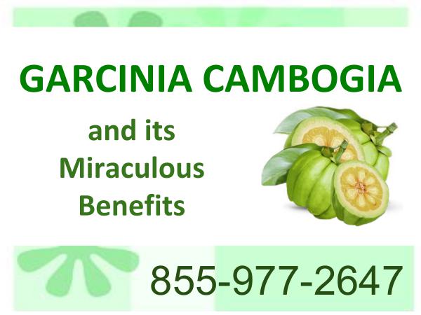 Garcinia Cambogia and its  Miraculous  Benefits
