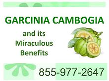 Garcinia Cambogia and its  Miraculous  Benefits 