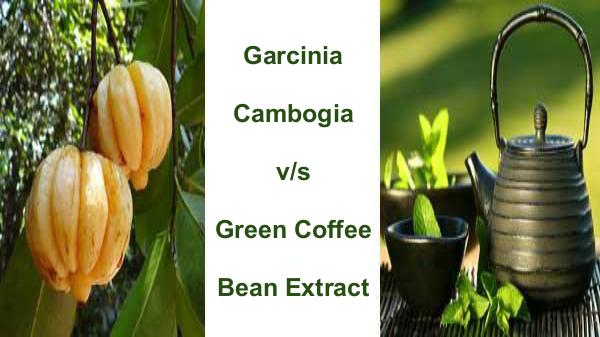 Garcinia  Cambogia  v/s  Green Coffee  Bean Extract Garcinia  Cambogia  v/s  Green Coffee  Bean Extrac