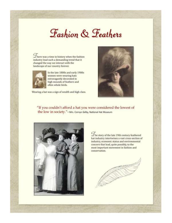 Bowman's Hats & Feathers Display Hats and Feathers PDF