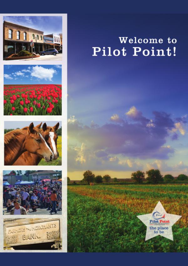 Pilot Point Flyer View Brochure