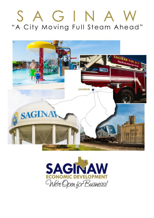 Saginaw Flyer View Brochure