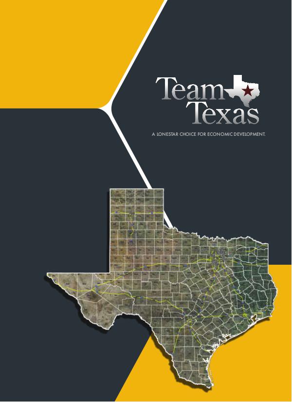Team Texas - Demo of FlyerView Product