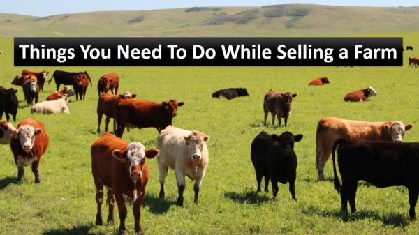 Things You Need To Do While Selling a Farm Things You Need To Do While Selling a Farm