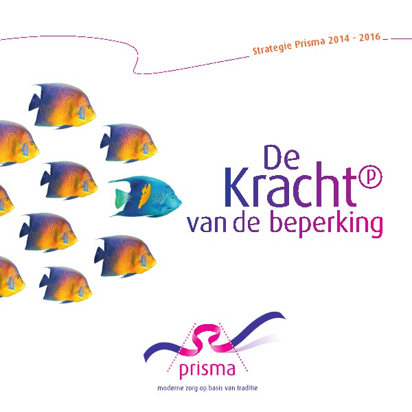 Kwaliteitsrapport 2019 Strategie Stichting Prisma 2014 - 2016