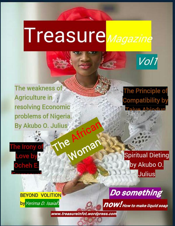 Treasure Magazine volume 1