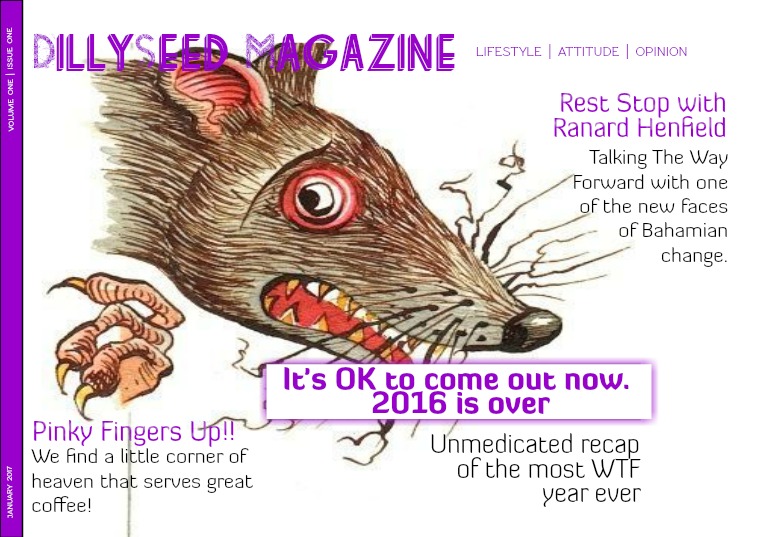 DillySeed Magazine End of Year Review
