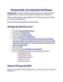 WP Speedy PRO review-(SHOCKED) $21700 bonuses