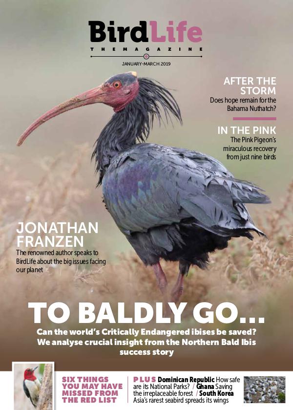 BirdLife: The Magazine Jan - March 2019