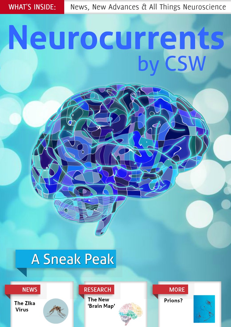 Neurocurrents by CSW 2017
