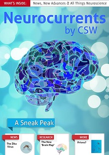 Neurocurrents by CSW