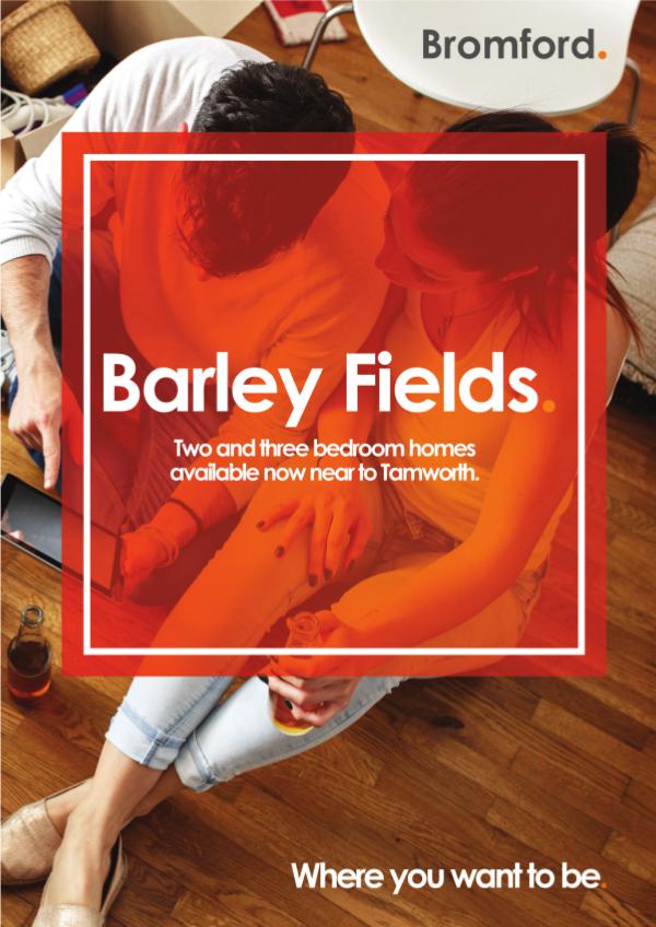 Where you want to be! Barley Fields
