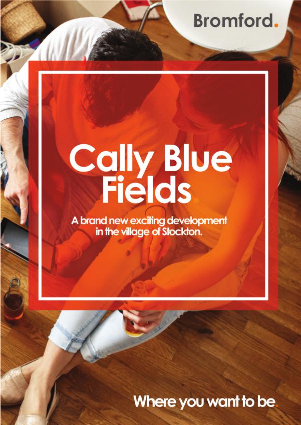 Where you want to be! Cally Blue Fields