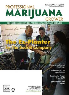 Professional Marijuana Grower