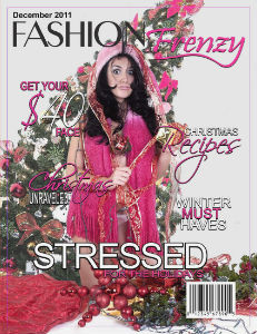 November 2011 Issue December 2011 Issue