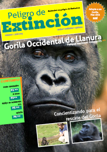 Peligro de Extinción El Gorilla de Odzala