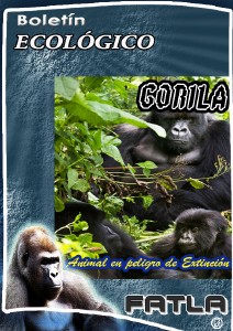 El Gorila - Especie en Extinción Gorila I