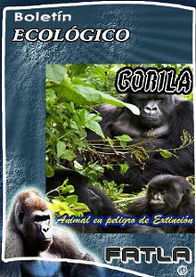 El Gorila - Especie en Extinción