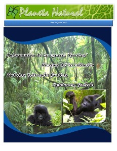 Salvando al Gorila en el Congo 1