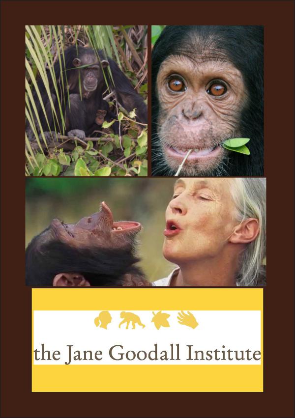 Jane Goodall Instituut Nederland Jane Goodall Folder2.0