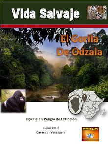 El Gorila de Odzala
