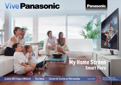 Vive Panasonic 25