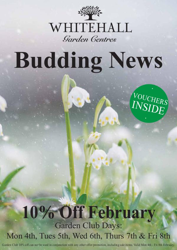 Budding News February 2019