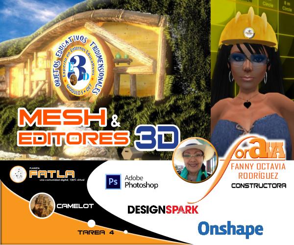 Mesh y Editores 3D - ForAva - 01/09/2019 ForAva-Ensayo-OET-Mesh-Editores3D
