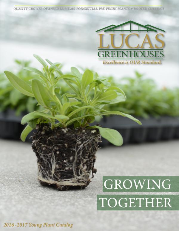 Lucas Greenhouses Young Plant Catalogs 2016-2017 Young Plant Catalog
