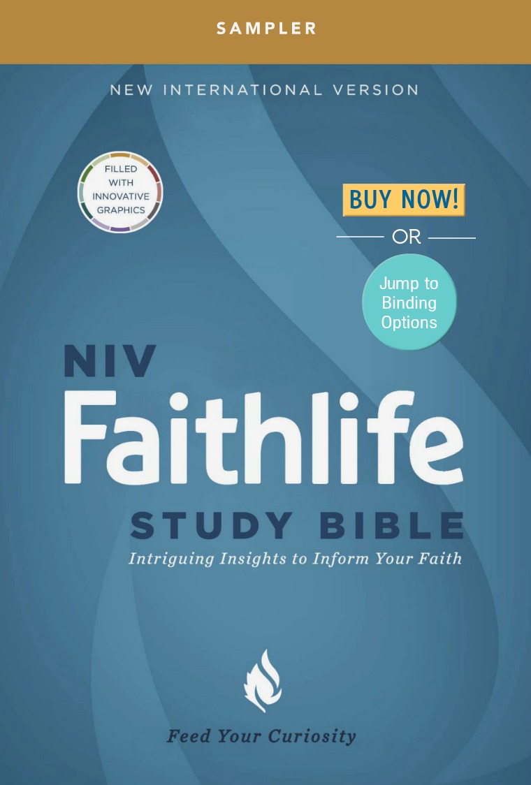NIV Faithlife Study Bible (clone)