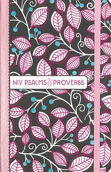 NIV Psalms and Proverbs