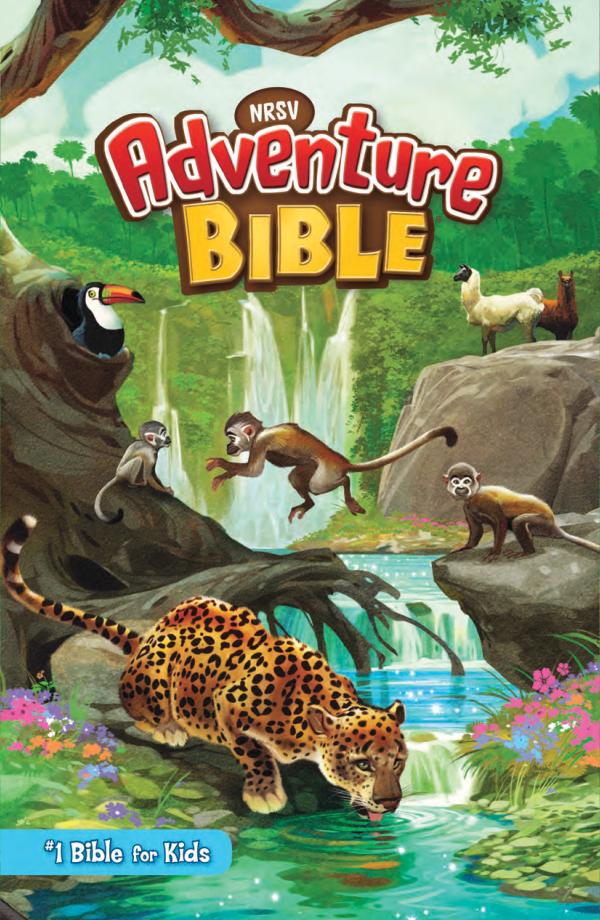 NRSV Adventure Bible | Sampler NRSV Adventure Bible Sampler