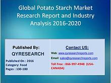 Potato Starch Market 2016 Awareness through Healthy Diet Stokes