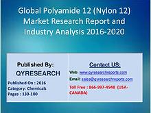 Global Polyamide 12 (Nylon 12) Industry 2016 Market Size