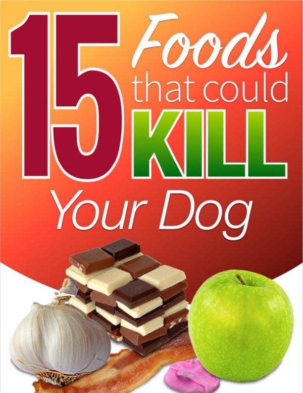 15 Foods That Could Kill Your Dog 15 Foods That Could Kill Your Dog