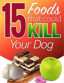 15 Foods That Could Kill Your Dog