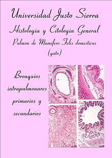 Revista Histología